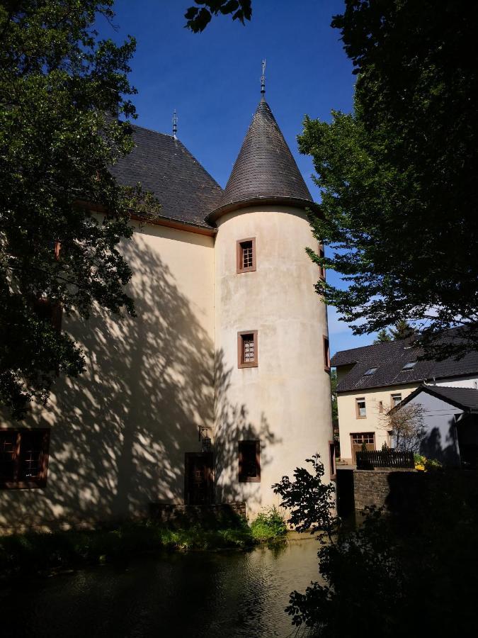 Mooi Ruim Appartement In Antieke Stadsboerderij Schönecken Exterior foto